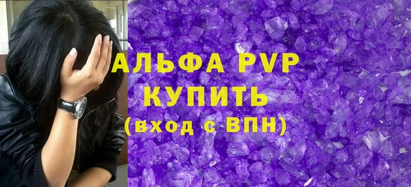 стаф Вяземский
