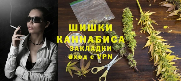 стаф Вяземский