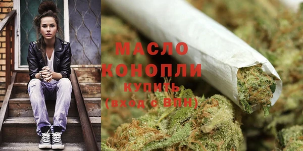 стаф Вяземский