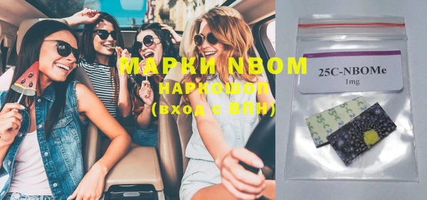 стаф Вяземский
